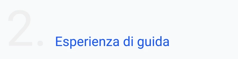 Esperienza Guida