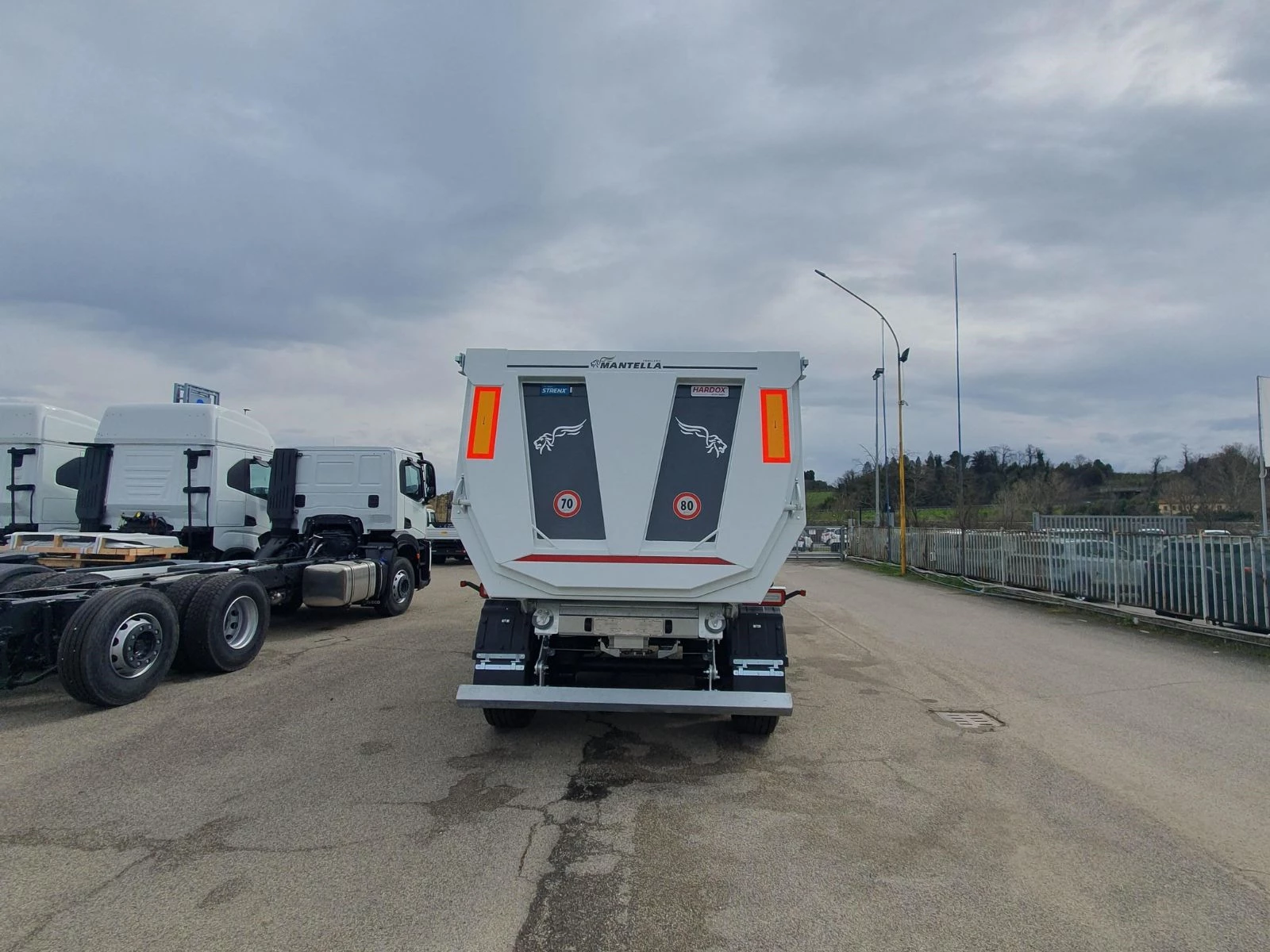 Mantella 4 Canva (2)